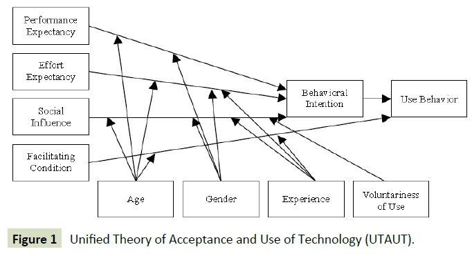 global-media-unified-theory-acceptance