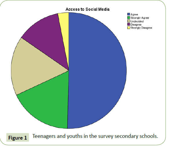 globalmediajournal-survey-secondary