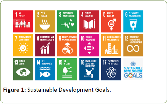 globalmediajournal-sustainable-development-goals